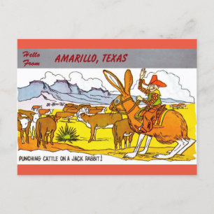 Amarillo, Texas Travel Greetings Cartoon Postcard Postkarte