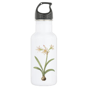 Amaryllis (Amaryllis vittata) durch Redouté Trinkflasche