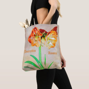 Amaryllis Amore