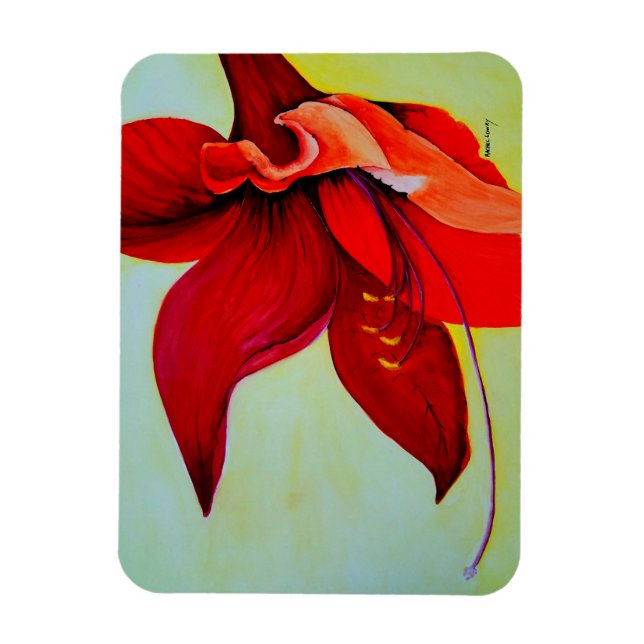 Amaryllis Blossom Magnet (Vertikal)
