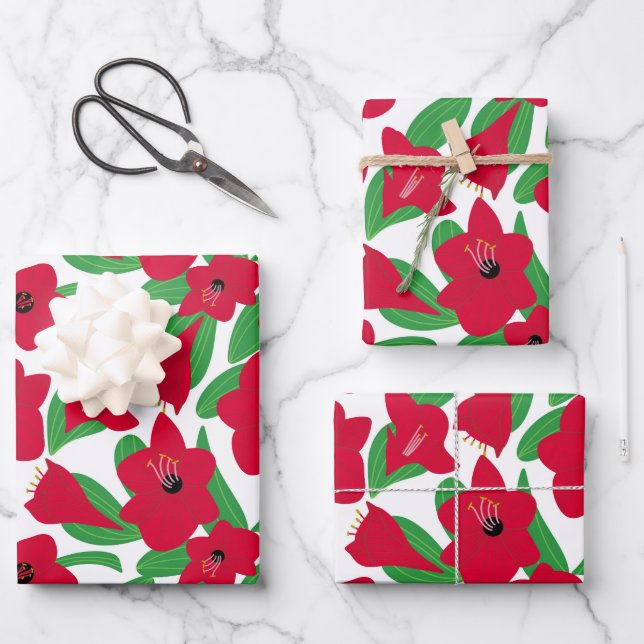 Amaryllis-Blume Geschenkpapier Set (Vorderseite)