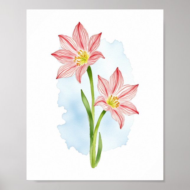 Amaryllis Blume Wasserfarbe Poster (Vorne)