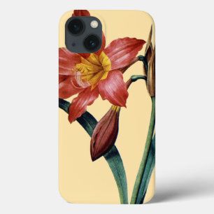 Amaryllis Case-Mate iPhone Hülle