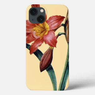 Amaryllis Case-Mate iPhone Hülle