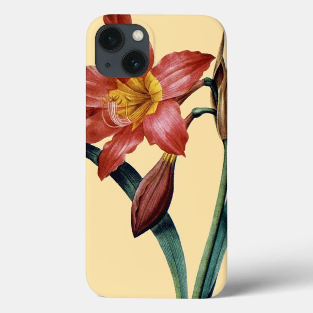 Amaryllis Case-Mate iPhone Hülle (Rückseite)