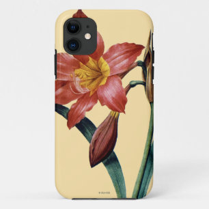 Amaryllis Case-Mate iPhone Hülle
