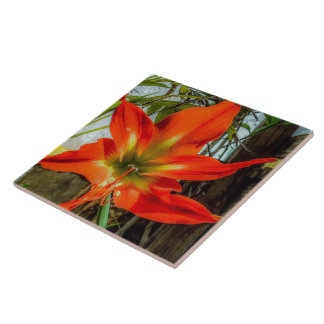 Amaryllis Closeup Ceramic Tile Fliese