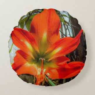 Amaryllis Closeup Round Pillow  Rundes Kissen