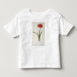 Amaryllis Curvifolia, 1809, vom ` Les Kleinkind T-shirt