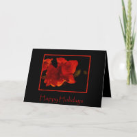 Amaryllis-Feiertags-Karte