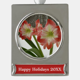 Amaryllis im roten Schnee Feiertags-Winterfloristi Banner-Ornament Silber