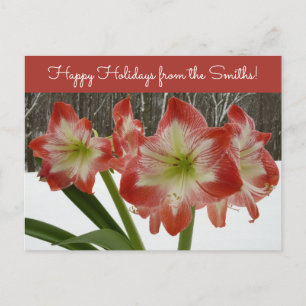 Amaryllis im schneeroten Urlaub Winterflora Feiertagspostkarte