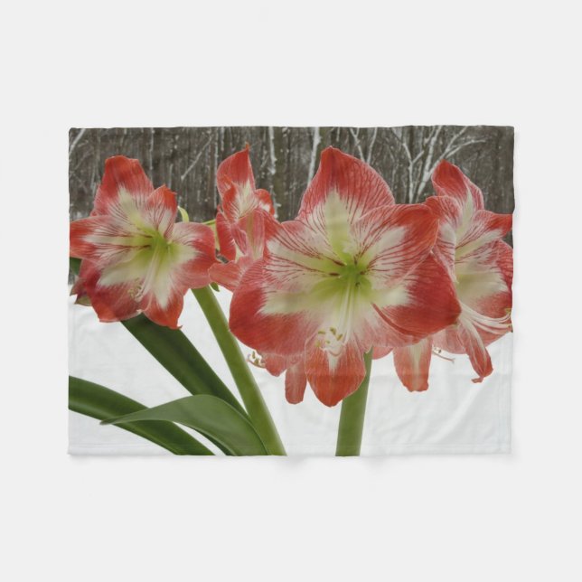 Amaryllis im schneeroten Urlaub Winterflora Fleecedecke (Vorderseite (Horizontal))