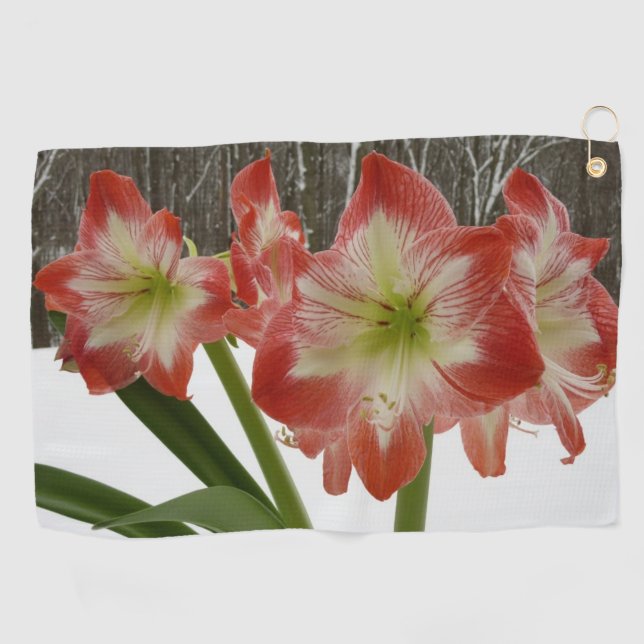 Amaryllis im schneeroten Urlaub Winterflora Golfhandtuch (Horizontal)