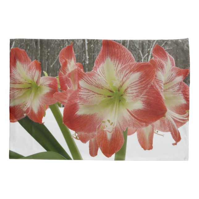 Amaryllis im schneeroten Urlaub Winterflora Kissenbezug (Rückseite)