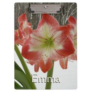 Amaryllis im schneeroten Urlaub Winterflora Klemmbrett