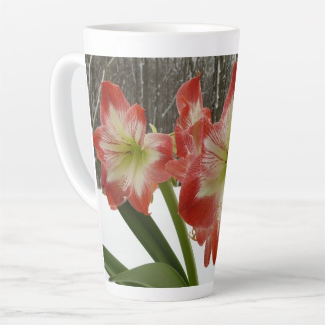 Amaryllis im schneeroten Urlaub Winterflora Milchtasse (Linke Ecke)