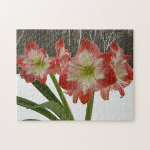 Amaryllis im schneeroten Urlaub Winterflora Puzzle
