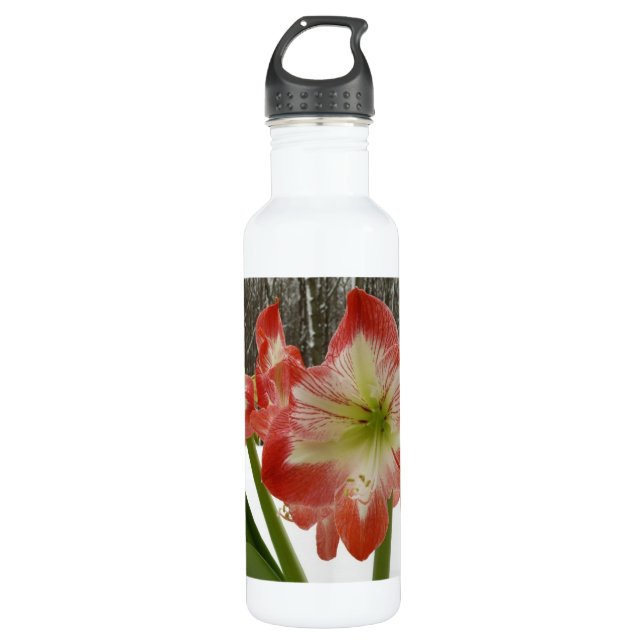 Amaryllis im schneeroten Urlaub Winterflora Trinkflasche (Vorderseite)