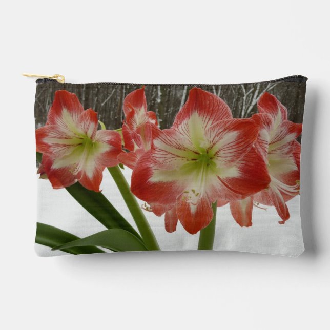 Amaryllis im schneeroten Urlaub Winterflora Zubehörtasche (Vorderseite)