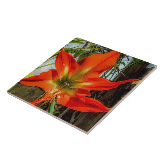 Amaryllis Nahaufnahme Keramikfliese (Seite)