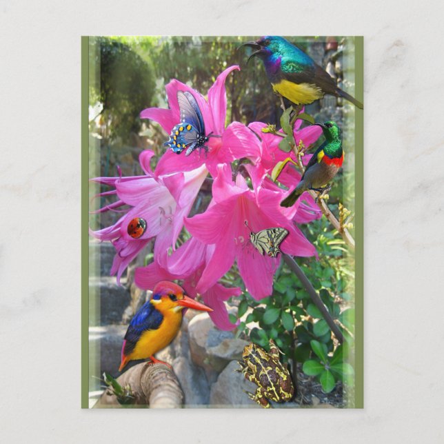 Amaryllis-Party Einladungspostkarte (Vorderseite)