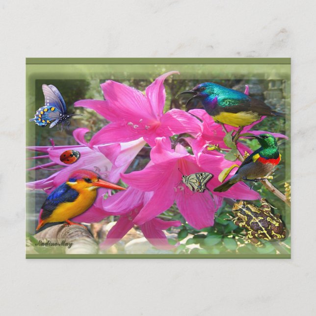 Amaryllis-Party Einladungspostkarte (Vorderseite)