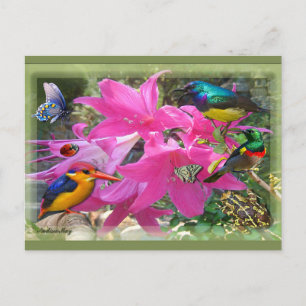 Amaryllis-Party Einladungspostkarte