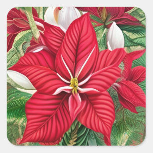 Amaryllis Poinsettia Hybrid AI Art Quadratischer Aufkleber