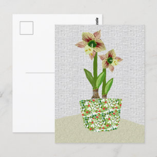 Amaryllis Postcard Postkarte