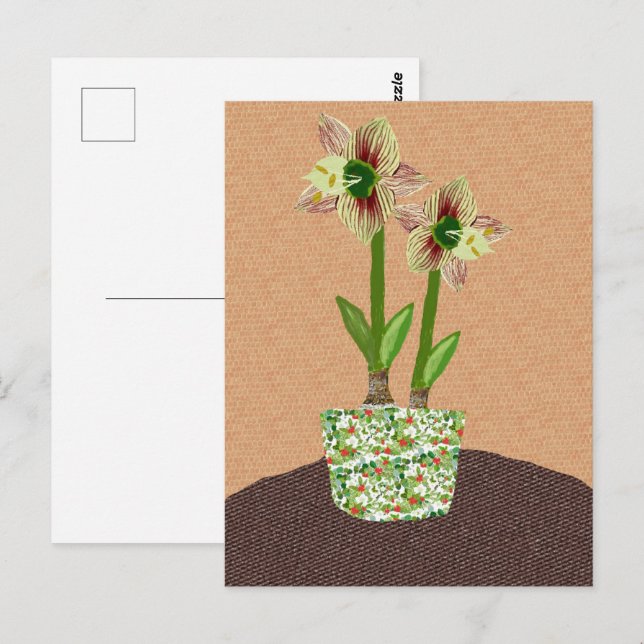 Amaryllis Postcard Postkarte (Vorne/Hinten)