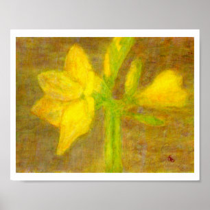 Amaryllis, Poster