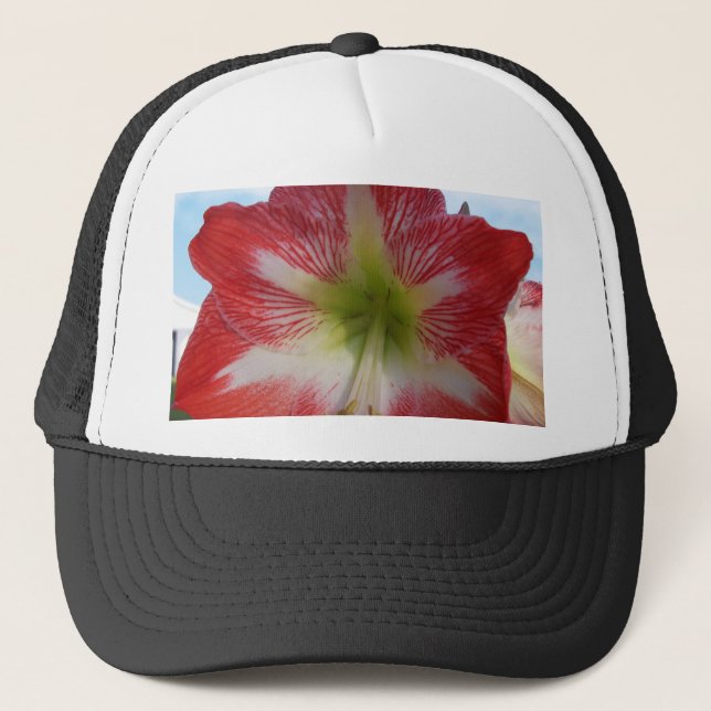 Amaryllis rot-weiß MegaStar Truckerkappe (Vorderseite)