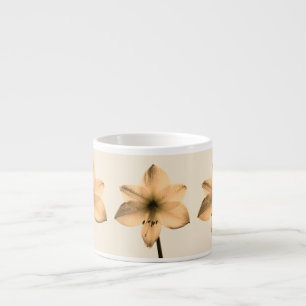 Amaryllis sepia espressotasse
