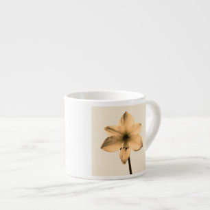 Amaryllis sepia espressotasse
