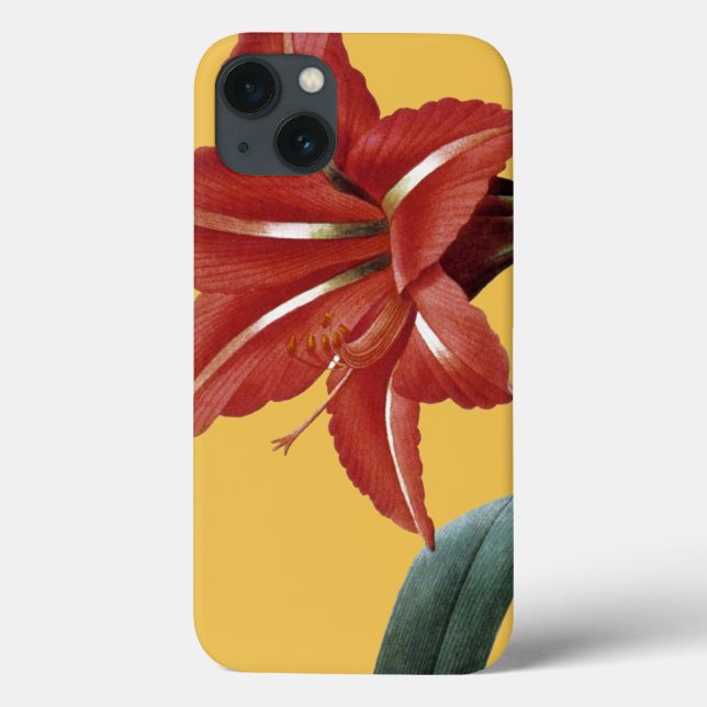 Amaryllis Striped Case-Mate iPhone Hülle (Rückseite)