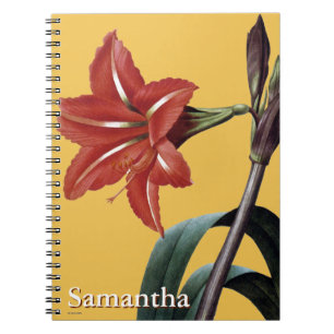 Amaryllis Striped Notizblock