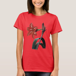Amaryllis Striped T-Shirt