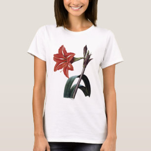 Amaryllis Striped T-Shirt