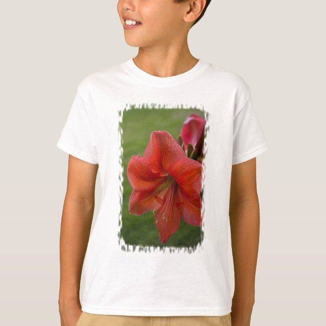 Amaryllis T-Shirt (Vorderseite)