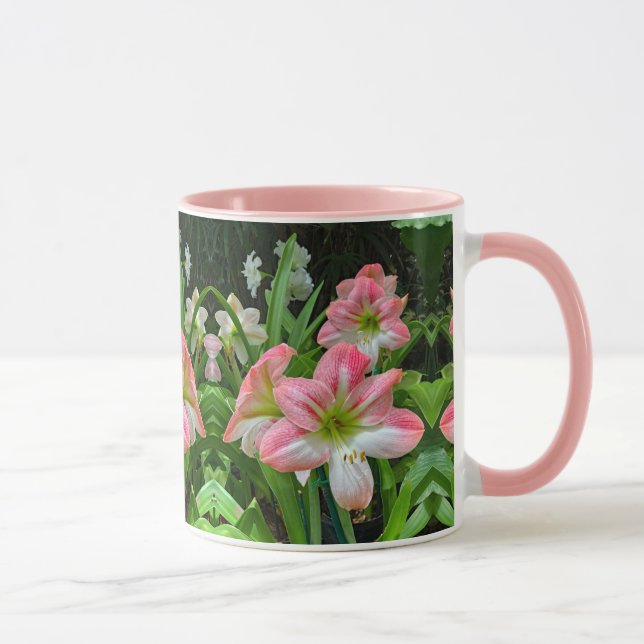 Amaryllis Tasse (Rechts)