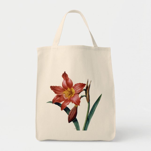 Amaryllis Tragetasche (Vorne)