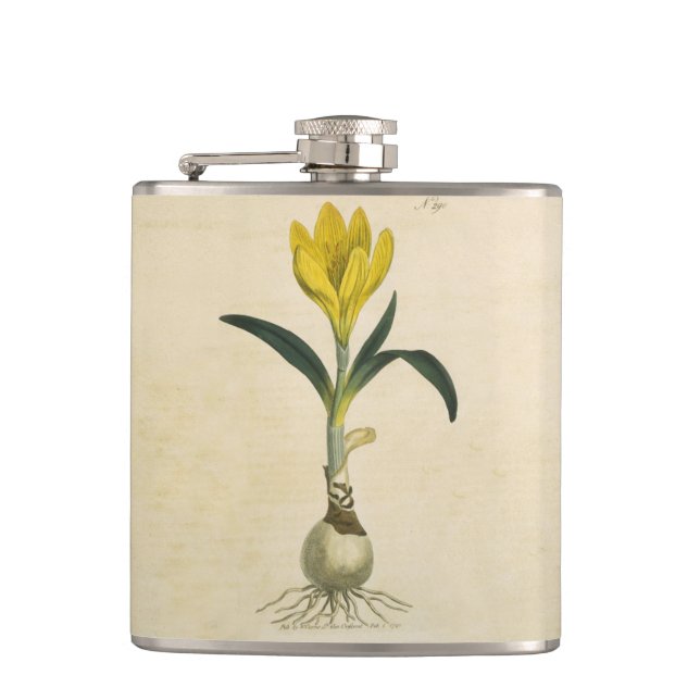 Amaryllis Tulip Botanischer Garten Blume Flachmann (Vorderseite)