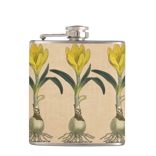 Amaryllis Tulip Botanischer Garten Blume Flachmann (Vorderseite)