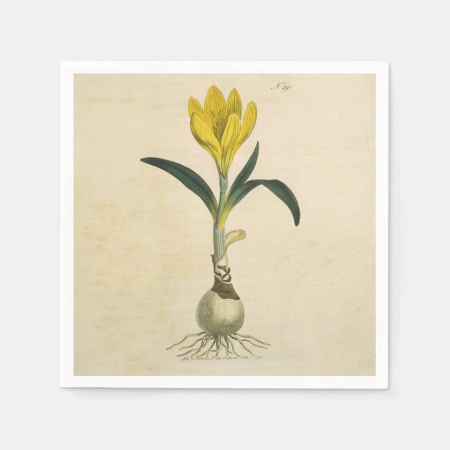 Amaryllis Tulip Botanischer Garten Blume Serviette (Vorderseite)