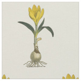 Amaryllis Tulip Botanischer Garten Blume Stoff