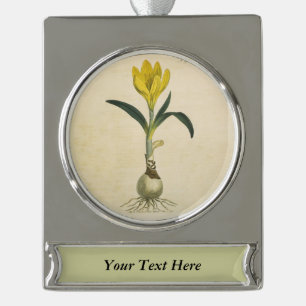 Amaryllis-Tulpe-Botanischer Garten-Blume Banner-Ornament Silber