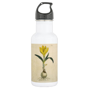 Amaryllis-Tulpe-Botanischer Garten-Blume Edelstahlflasche