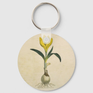 Amaryllis-Tulpe-Botanischer Garten-Blume Schlüsselanhänger