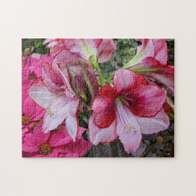 Amaryllis und Poinsettia Rote Blume Puzzle (Horizontal)